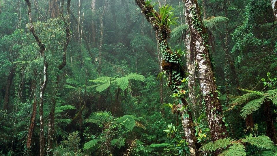 Agronegócio e meio ambiente – separando o joio e o trigo