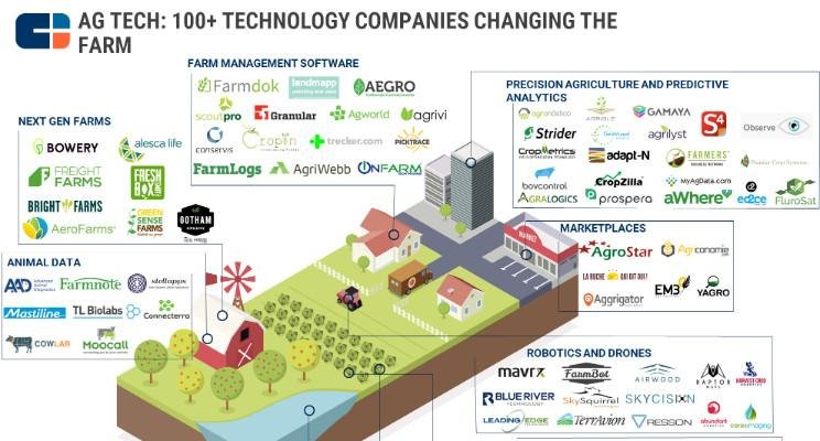 O que esperar do agro em 2018 e além