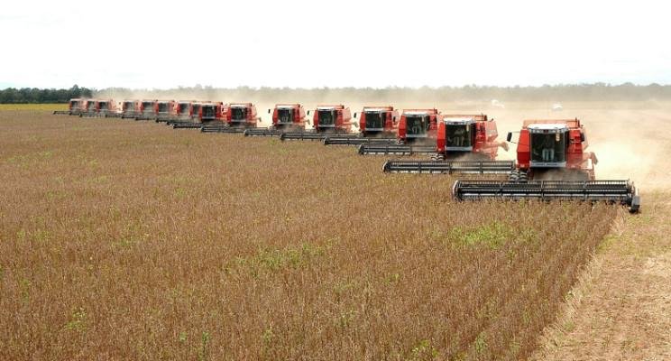 A onda antitecnológica na agricultura