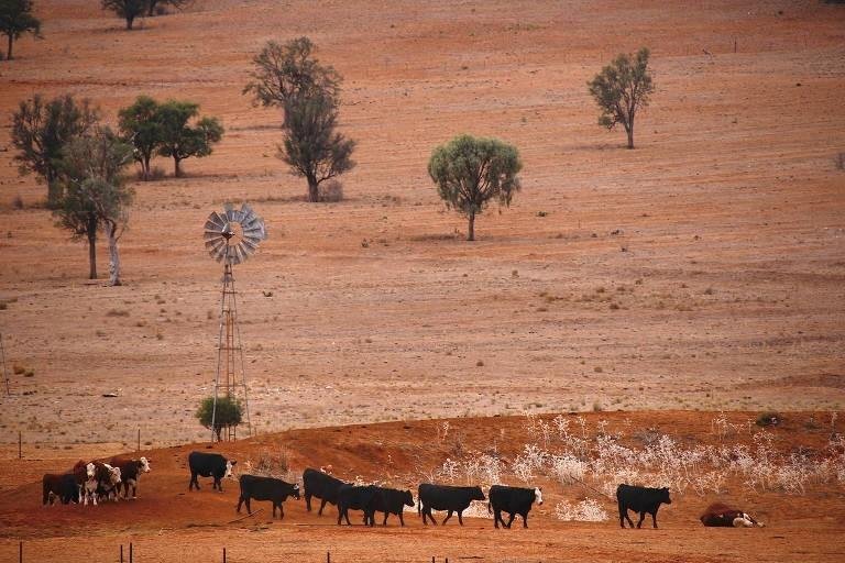 Lições da Austrália para o agro brasileiro