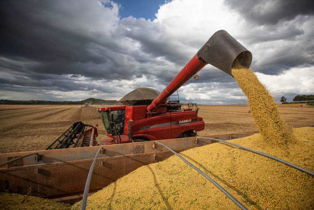 O agronegócio brasileiro alimentará o mundo?