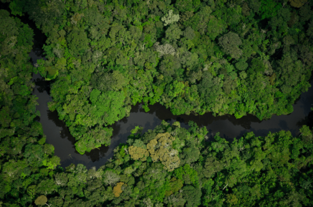 Mercado de precificação de carbono traz oportunidades para o Brasil