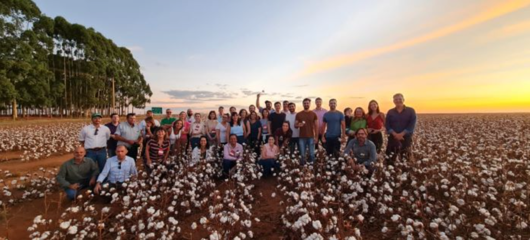 Jornalistas concluem o curso de formação em agronegócio no Insper