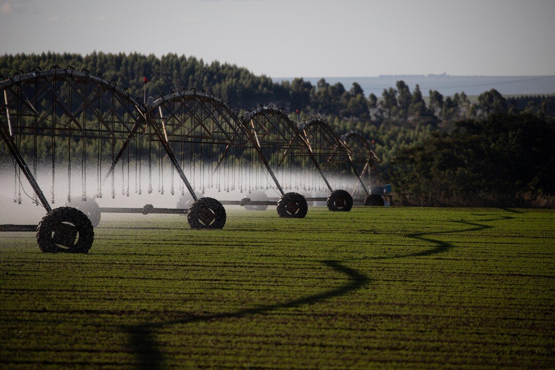 Desafios do agro compelem melhor coordenação