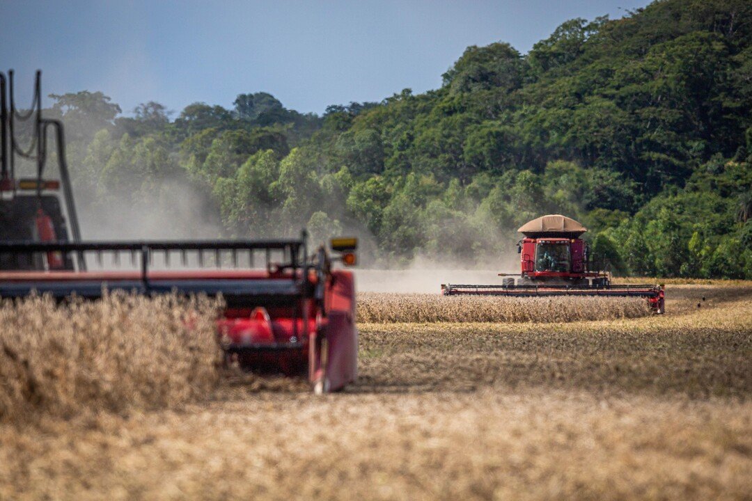 Brasil precisa se posicionar como líder agroambiental