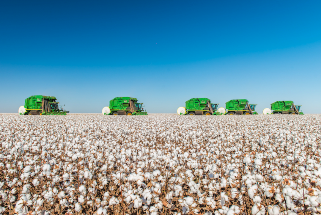 O Brasil no agronegócio global: desafios, oportunidades e preparação estratégica