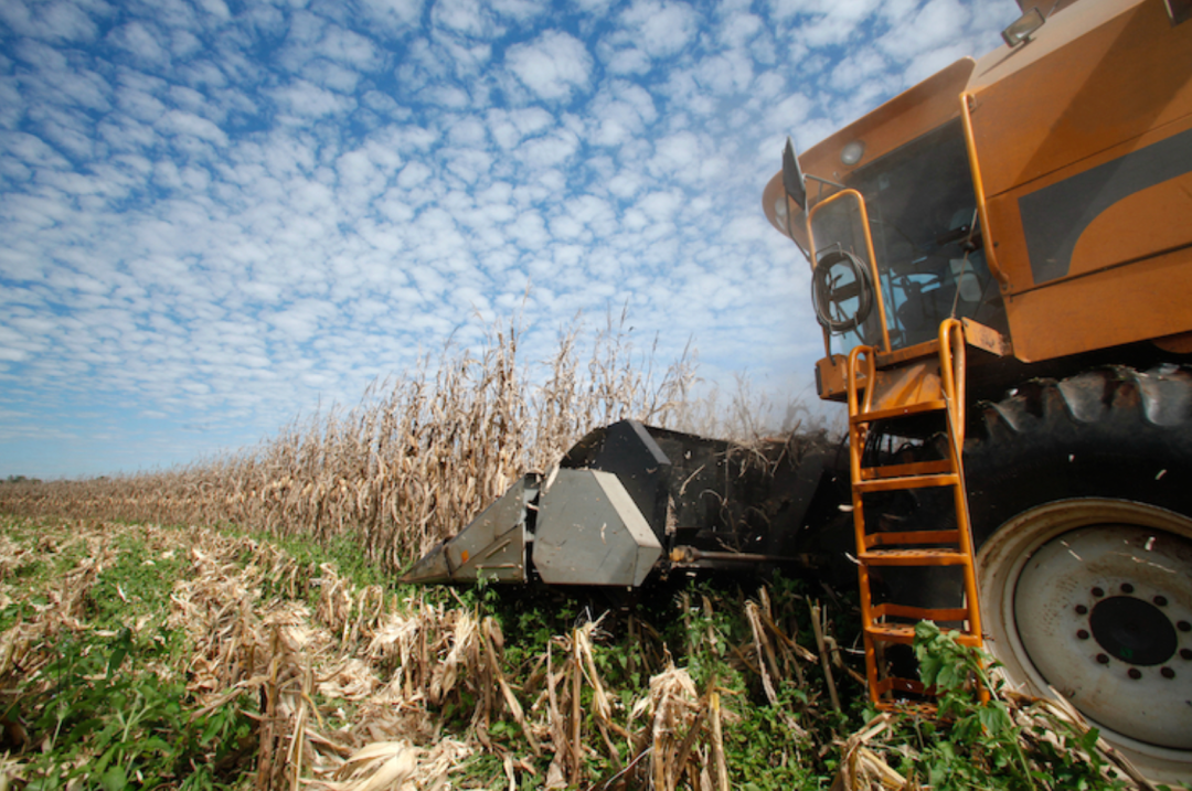 Especial: O Futuro do Comércio Global do Agronegócio e a Inserção do Brasil